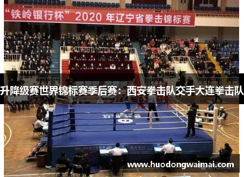 升降级赛世界锦标赛季后赛：西安拳击队交手大连拳击队