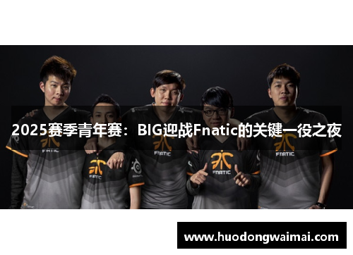 2025赛季青年赛：BIG迎战Fnatic的关键一役之夜