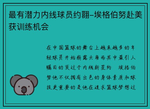 最有潜力内线球员约翾-埃格伯努赴美获训练机会